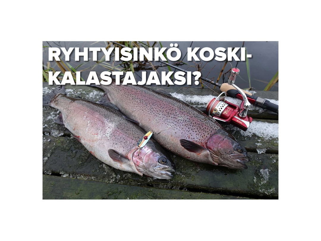 Ryhtyisinkö koskikalastajaksi