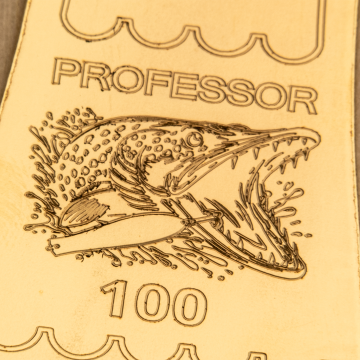 PROFESSOR 100